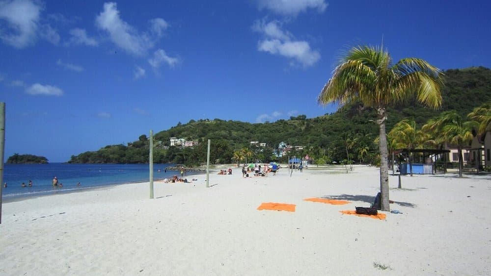 SVG Picnic